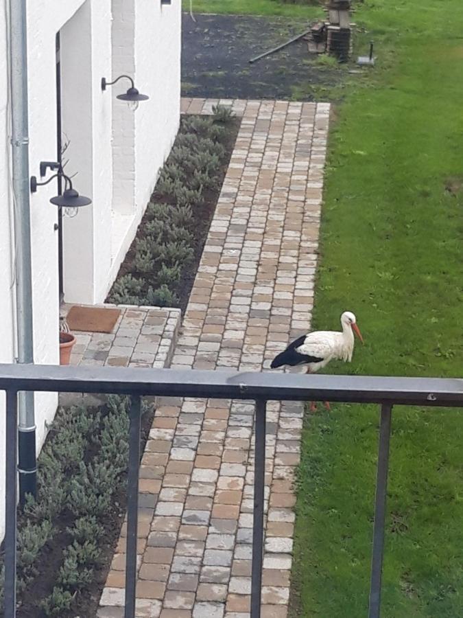 Ferienwohnung Storchennest Bad Rothenfelde Εξωτερικό φωτογραφία